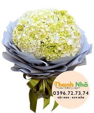Hoa mừng tốt nghiệp – Bó Hoa Tú Cầu – 1216
