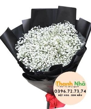 Hoa mừng tốt nghiệp – Baby’s Breath 2 – 1227