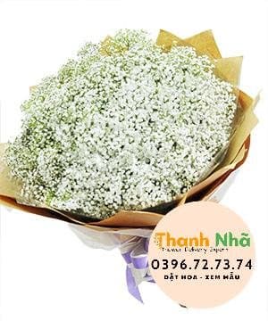 Hoa mừng tốt nghiệp – Baby’s breath – 1235