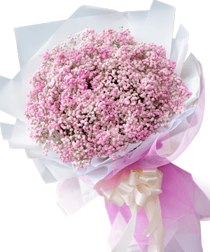 Hoa mừng tốt nghiệp – Pink baby – 1241