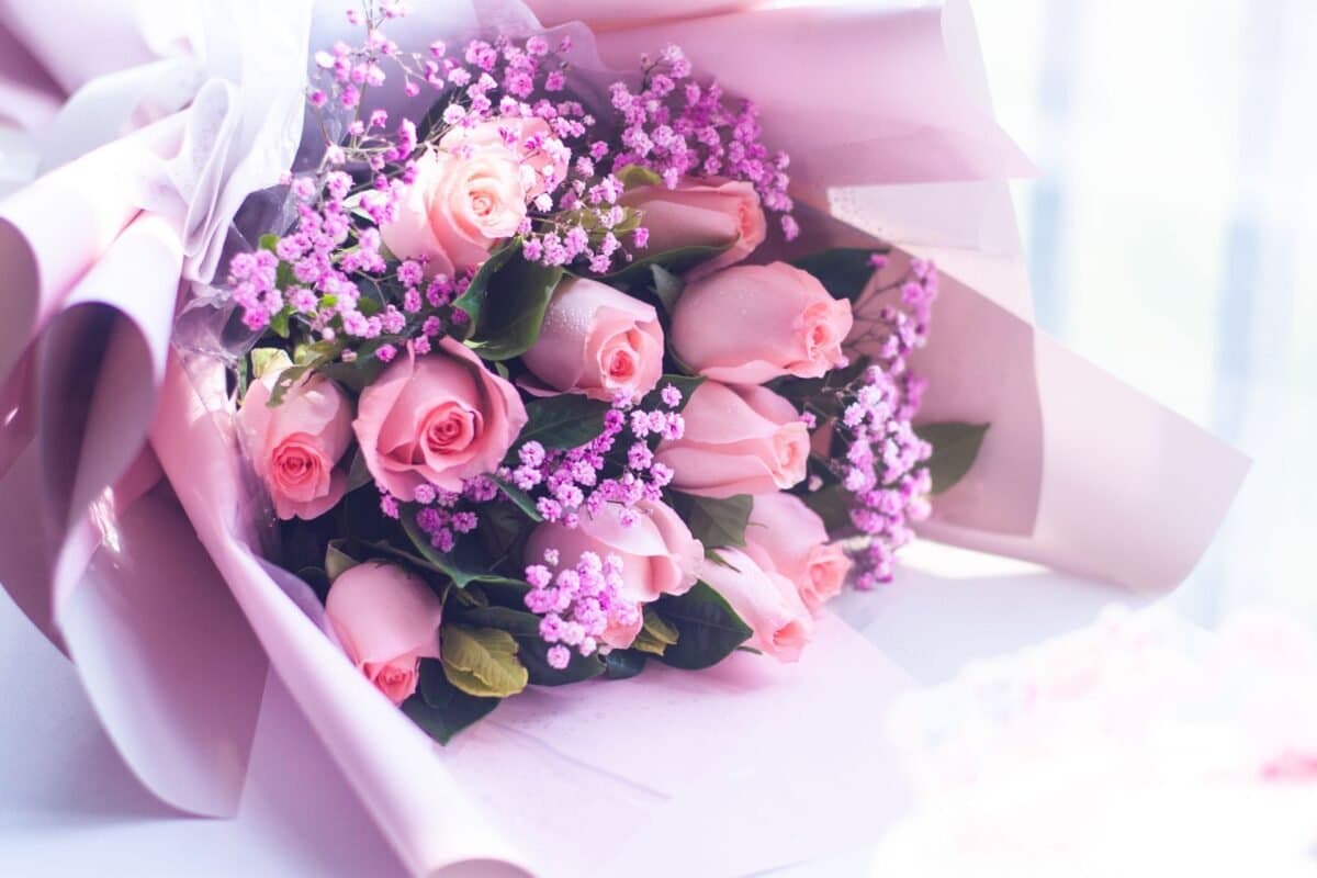 Ý Nghĩa Của Hoa Hồng Phấn