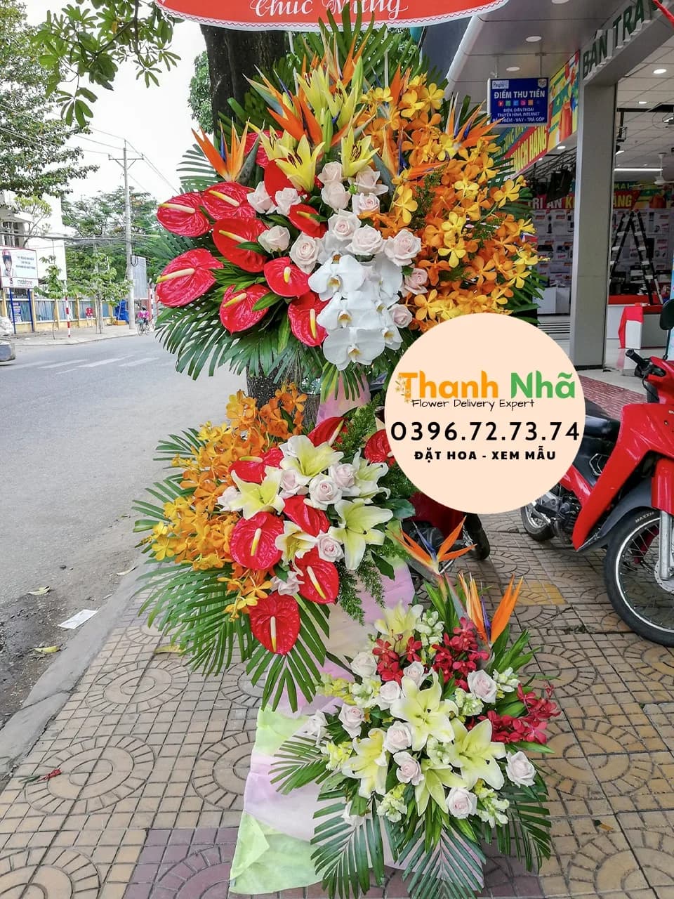 Hoa Khai Trương – Đồng Tiền Vàng – KT013