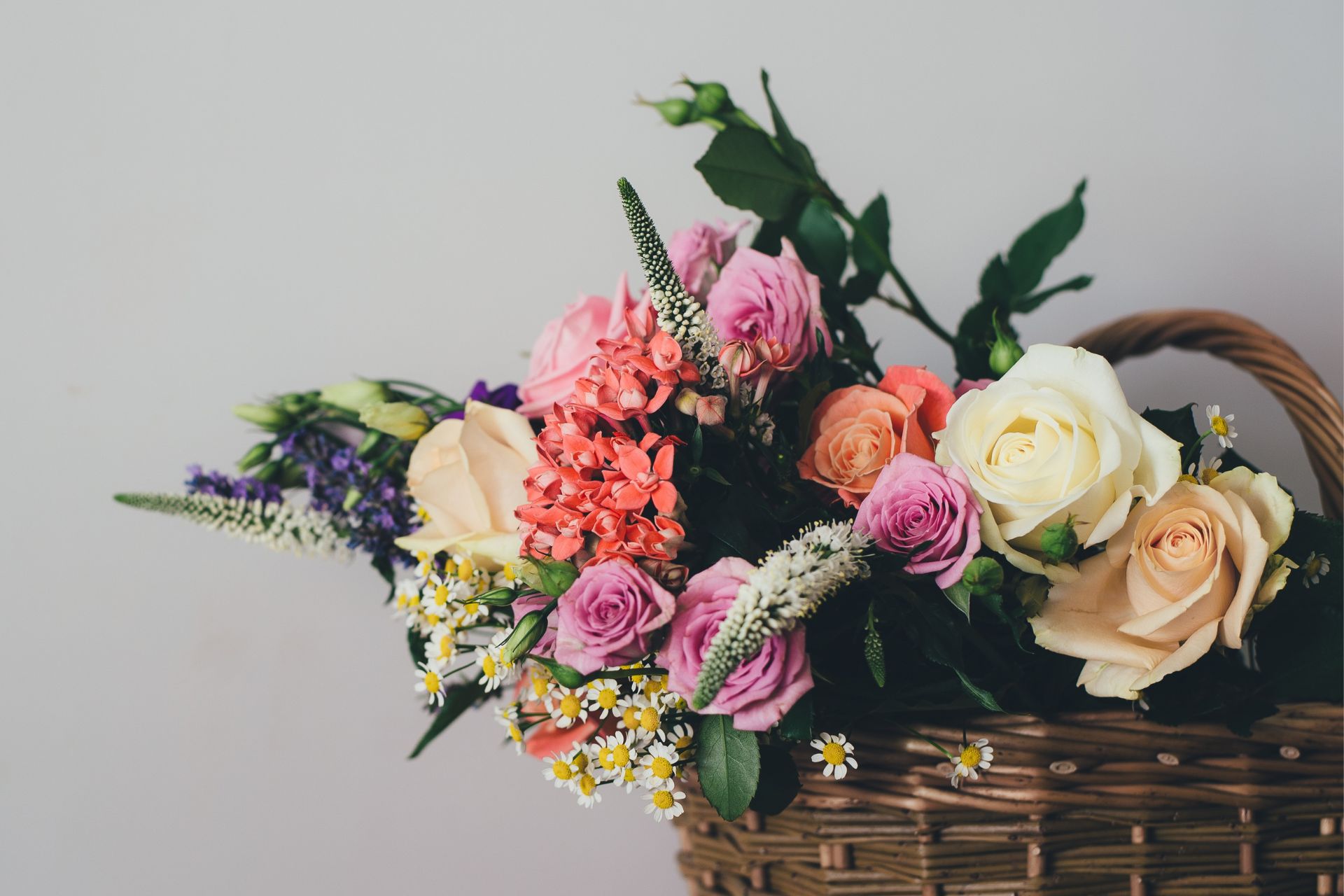 Ý Nghĩa Số Lượng Hoa Hồng