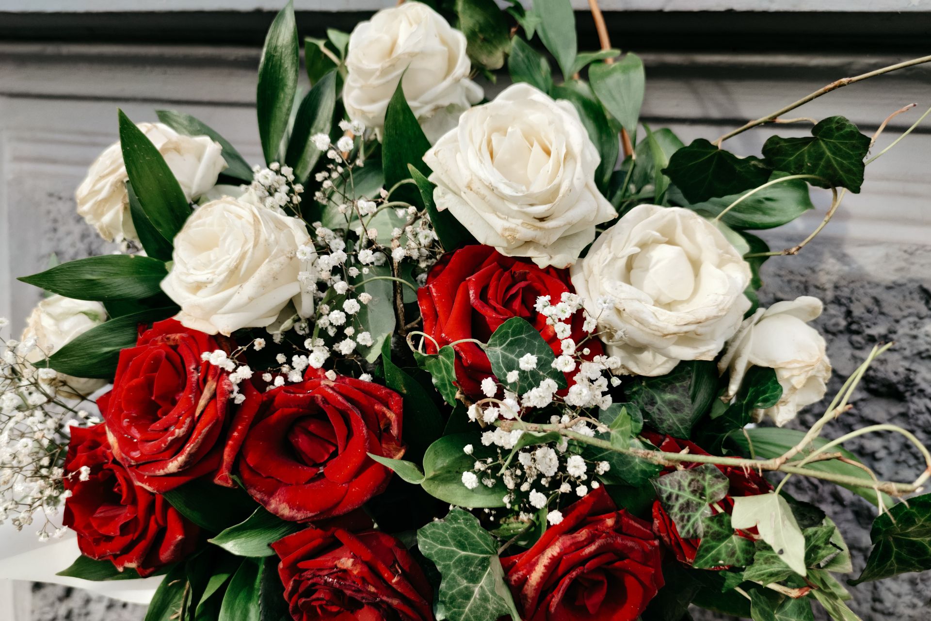 Ý Nghĩa Của Hoa Hồng Trắng