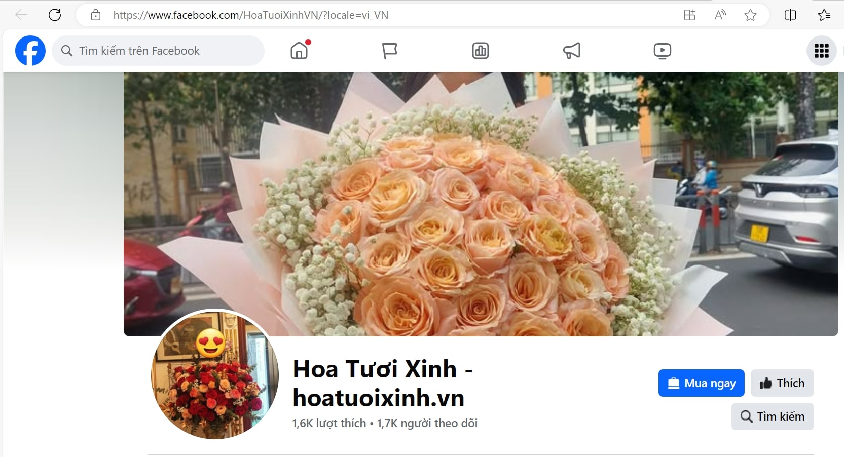  shop hoa tươi xinh